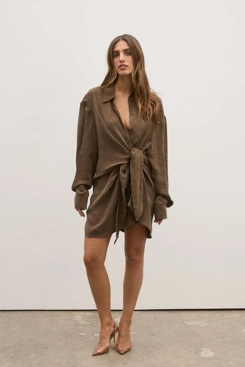 Noah Shirt Dress