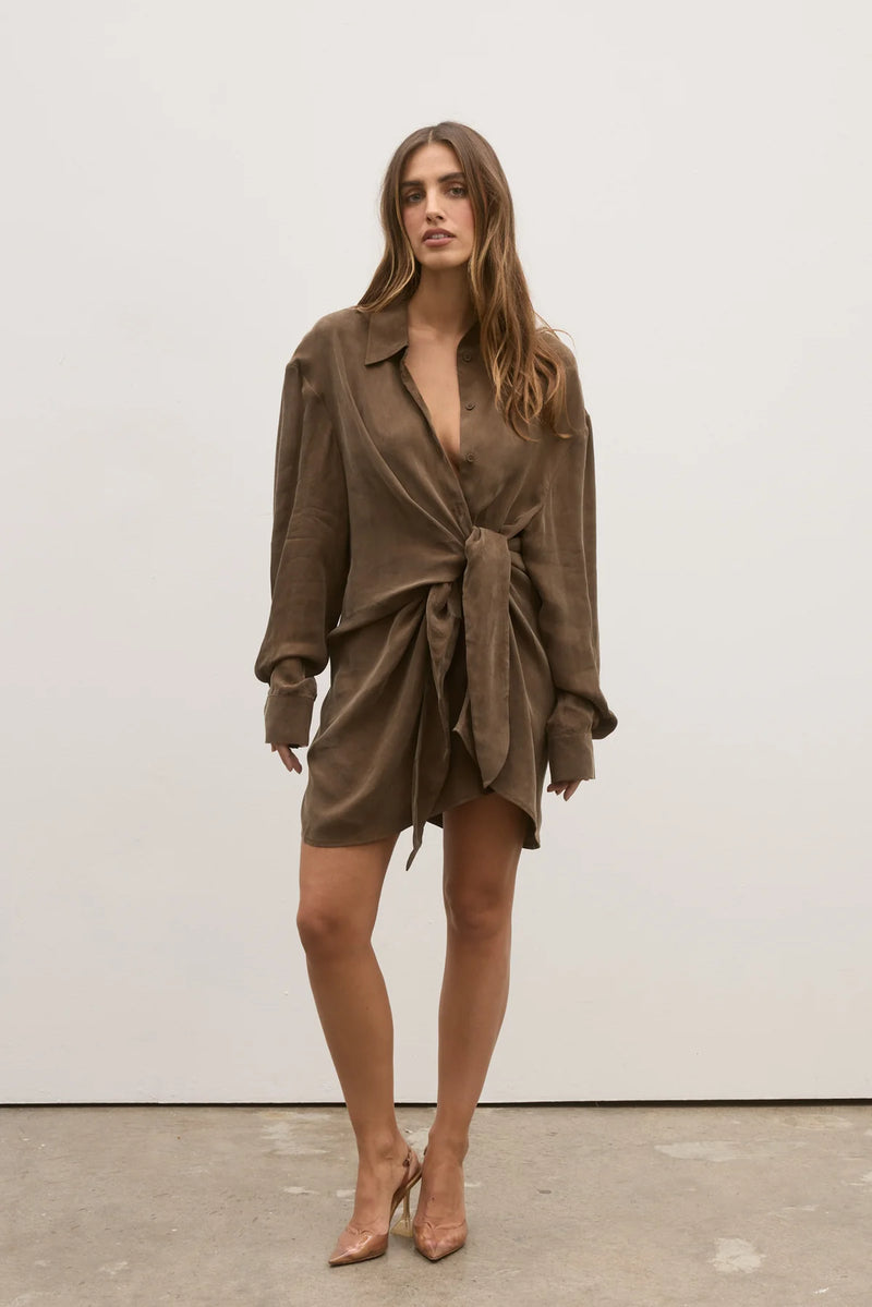 Noah Shirt Dress