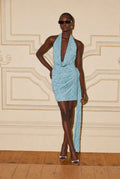 Orel Cowl Neck Mini Dress