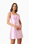 Elder Mini Dress