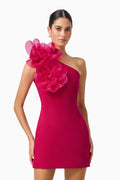 Verdessa One Shoulder Mini Dress