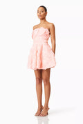 Rosella Strapless Mini Dress