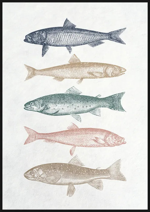 Assorted Fish Artwork