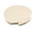 Seashell Trinket Tray
