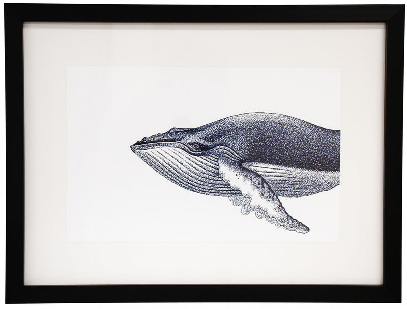 Ink Whale Framed Print